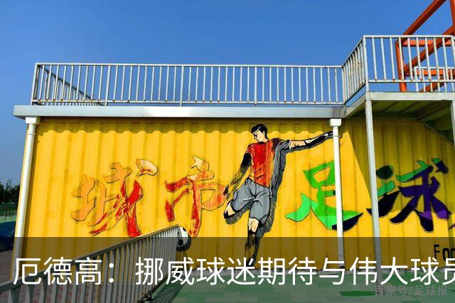 厄德高：挪威球迷期待与伟大球员交锋；C罗带给我诸多启发